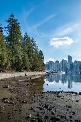 vertical-shot-reflections-high-rise-buildings-lake-stanley-park-vancouver